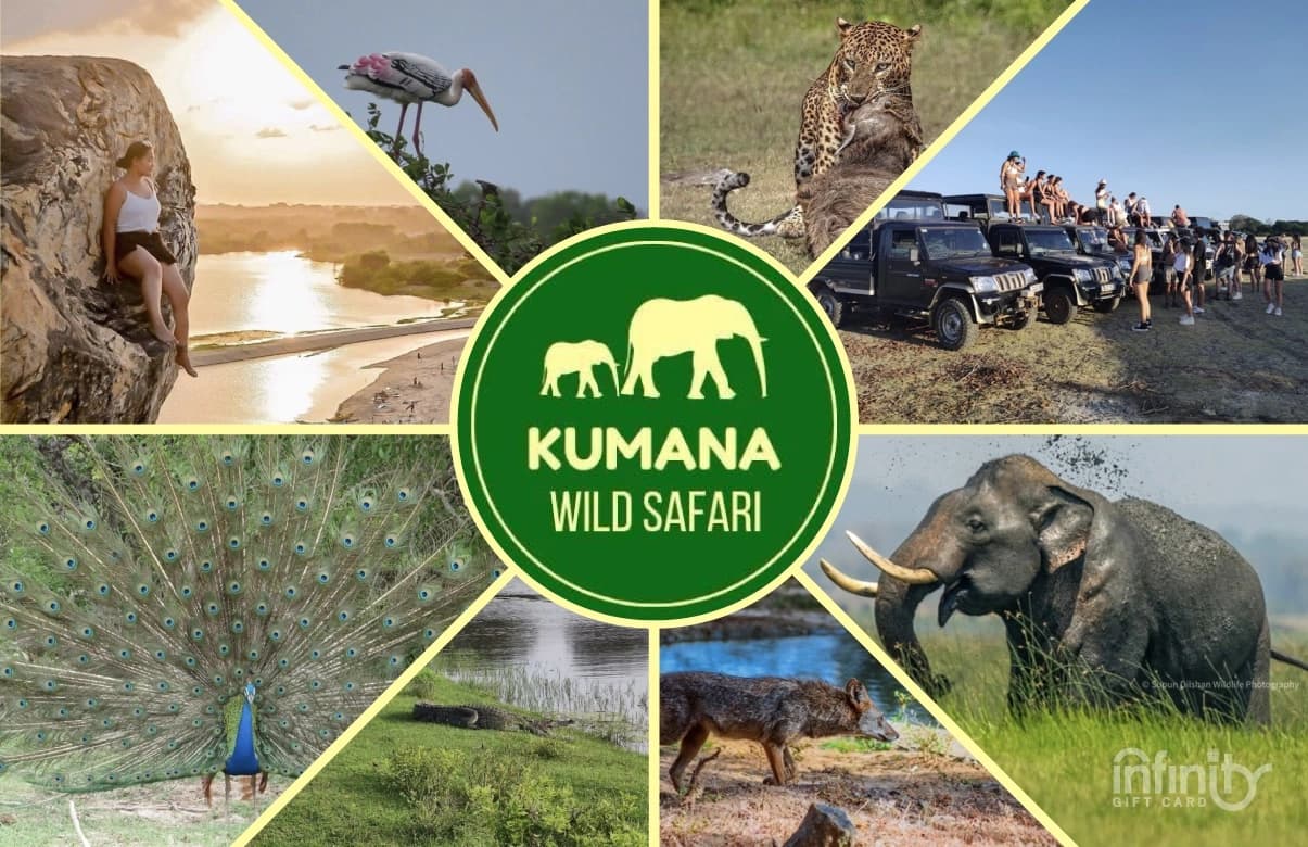 Kumana Wild Safari