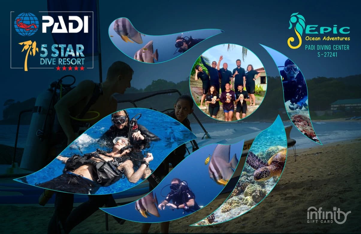 Epic Ocean PADI Courses